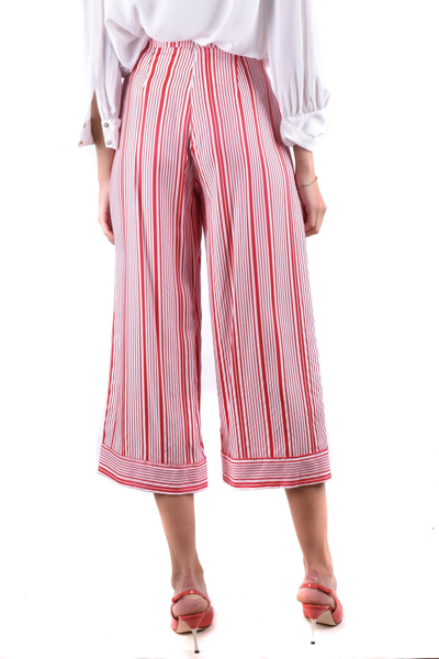 Elisabetta Franchi Trousers In Multicolor