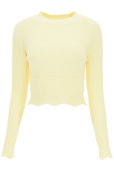 Shop Wandering Scalloped Sweater In Yellow
