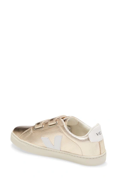 Shop Veja Esplar Sneaker In Platine/white