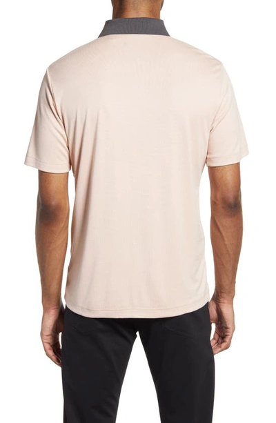 Shop Theory Kayser Anemone Milano Polo In Rose Dust