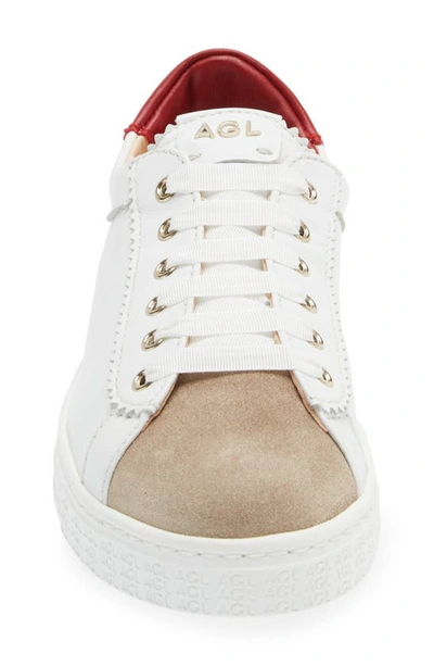 Shop Agl Attilio Giusti Leombruni Sade Sneaker In White Red