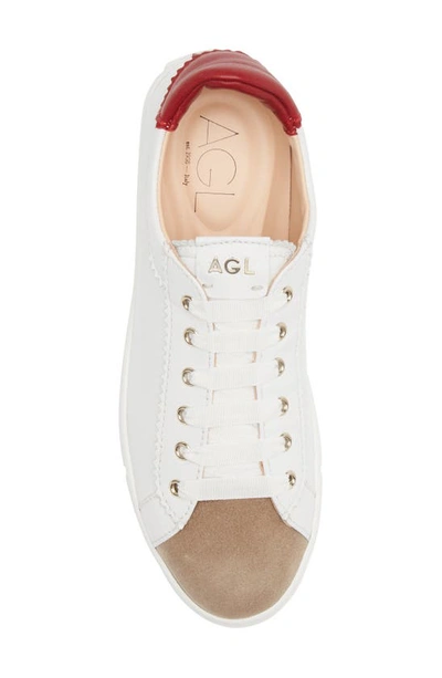 Shop Agl Attilio Giusti Leombruni Sade Sneaker In White Red