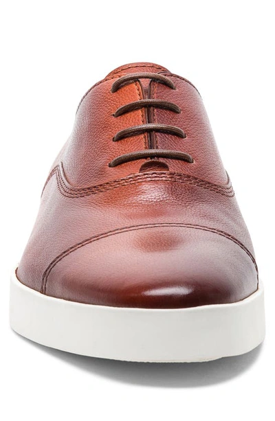 Shop Santoni Behemoth Leather Sneaker In Brown