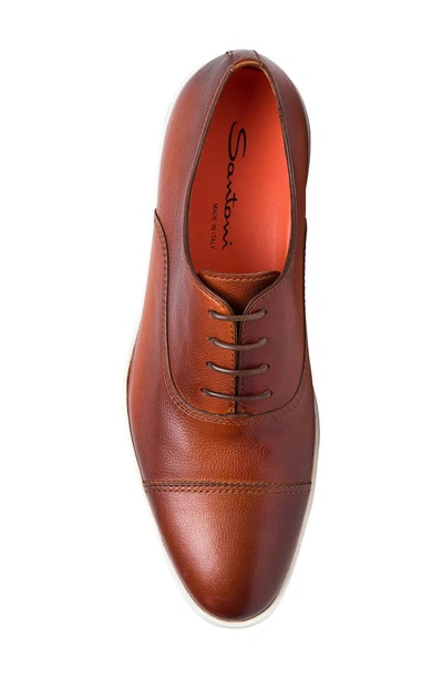 Shop Santoni Behemoth Leather Sneaker In Brown