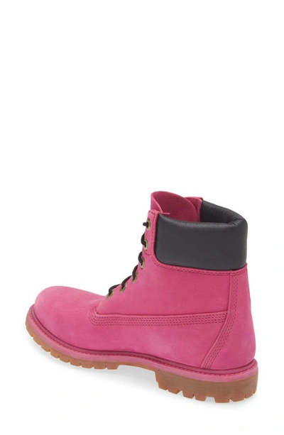 Shop Timberland 6-inch Premium Waterproof Boot In Festival Fuchsia