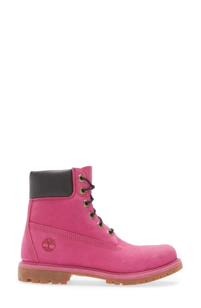 Shop Timberland 6-inch Premium Waterproof Boot In Festival Fuchsia