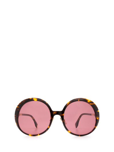 Shop Fendi Ff 0430/s Dark Havana Sunglasses