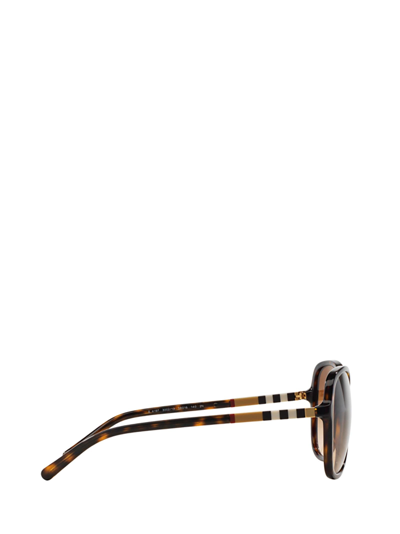 Shop Burberry Eyewear Be4197 Dark Havana Sunglasses