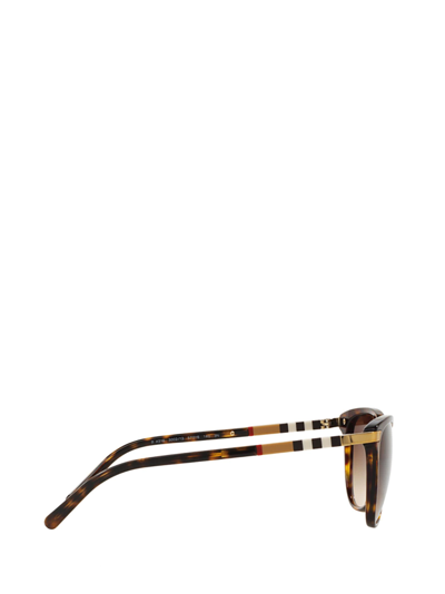 Shop Burberry Eyewear Be4216 Dark Havana Sunglasses