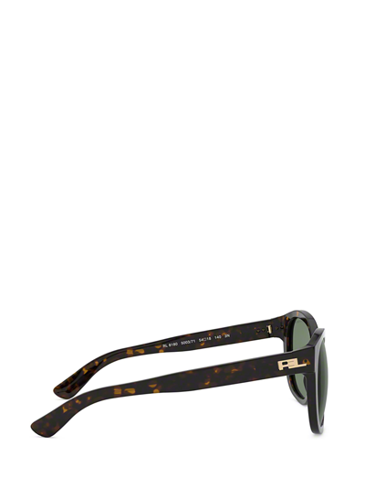 Shop Ralph Lauren Rl8180 Shiny Dark Havana Sunglasses