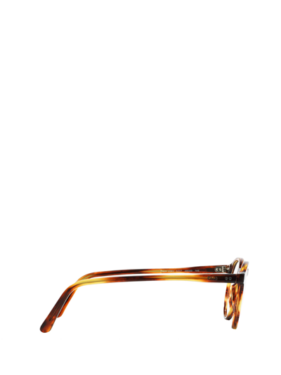 Shop Polo Ralph Lauren Ph2083 Shiny Striped Havana Glasses