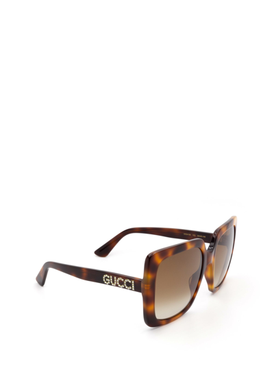 Shop Gucci Gg0418s Havana Sunglasses