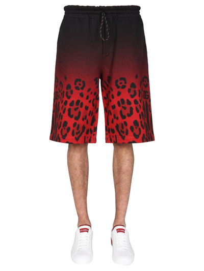 Shop Dolce & Gabbana Jogging Bermuda With Leopard Print In Nero