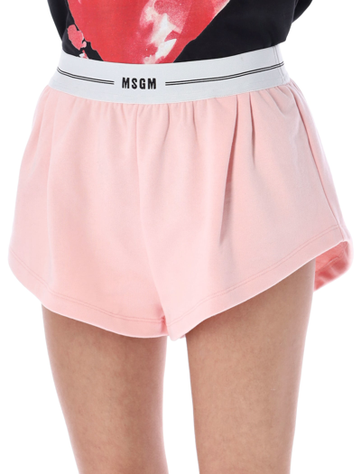 Shop Msgm Logo Band Shorts In Pink