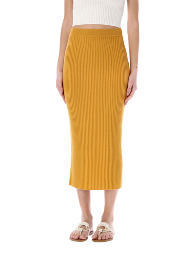 Shop Chloé Tube Skirt In Sunlight Yellow