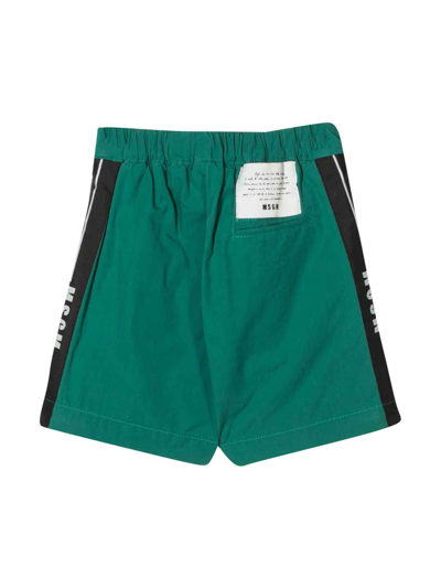 Shop Msgm Teen Boy Green Shorts In Verde
