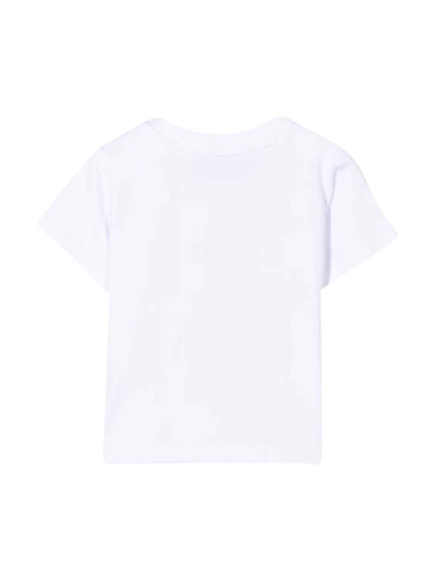 Shop Moschino White Newborn T-shirt With Teddy Bear Print On The Front, Crew Neck, Short Sleeves And Straight Hem  In Bianco