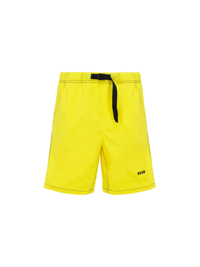 Shop Msgm Shorts In Yellow