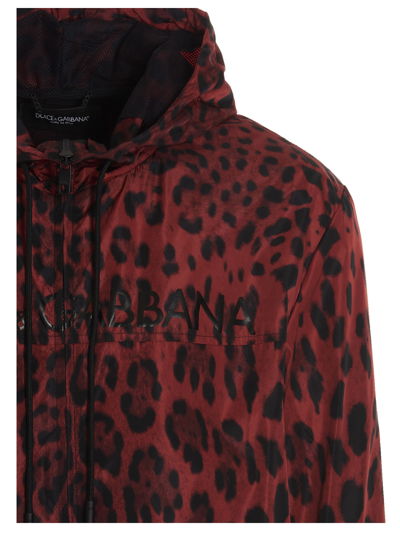 Shop Dolce & Gabbana Hot Animalier Jacket In Bordeaux