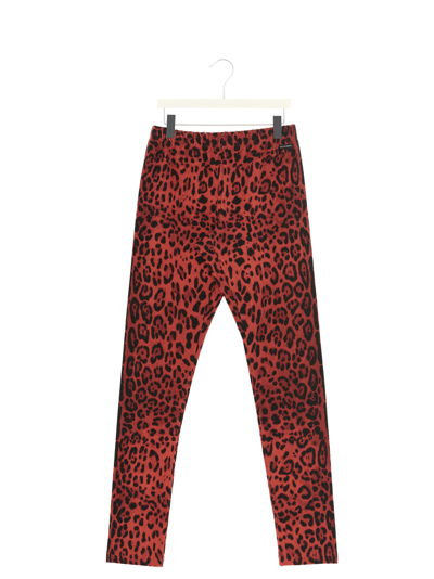 Shop Dolce & Gabbana Animal Print Leggings In Multicolor