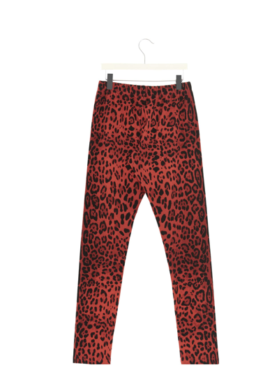 Shop Dolce & Gabbana Animal Print Leggings In Multicolor