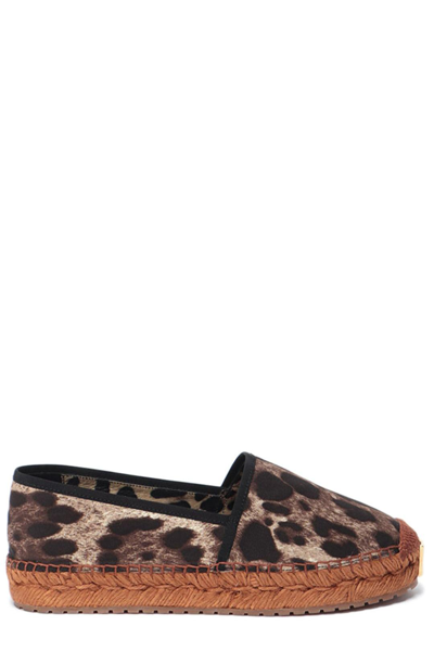 Shop Dolce & Gabbana Dg Leopard Print Espadrilles In M Leo New