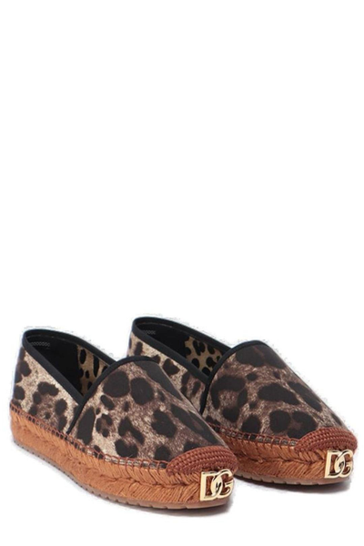 Shop Dolce & Gabbana Dg Leopard Print Espadrilles In M Leo New