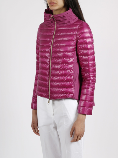 Herno on sale ladybug jacket