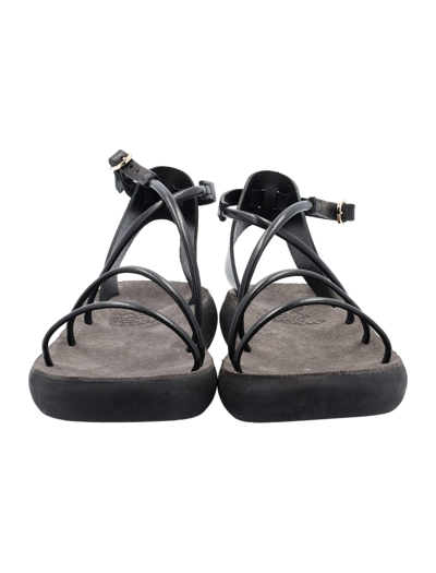 Shop Ancient Greek Sandals Anastasia Comfort Sandals In Black