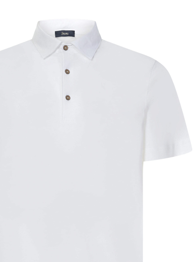 Shop Herno Polo Shirt