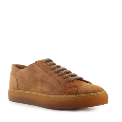 Shop Doucal's Biscuit Brown Suède Sneaker In Marrone