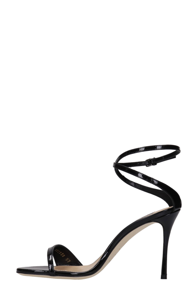 Shop Sergio Rossi Sandals In Black Patent Leather In Nero