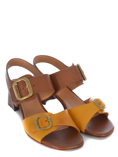 Shop Tod's Sandalo In Pelle Marrone, Giallo Xxw04j0fh60r98zzqx In Brown/yellow