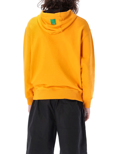 Shop Emporio Armani Sustainable Collection French Terrycloth Hoodie In Orange