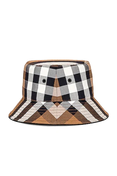 Shop Burberry Bucket Hat In Birch Brown Ip Check