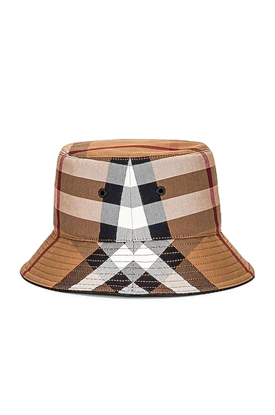 Shop Burberry Bucket Hat In Birch Brown Ip Check