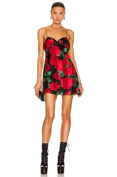 Shop Saint Laurent Floral Mini Slip Dress In Noir Rouge Vert