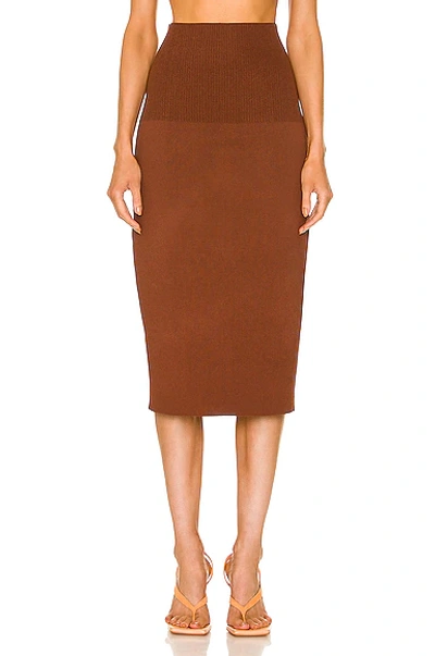 Shop Victoria Beckham Fitted Skirt In Brown