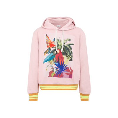 Shop Etro Graphic Embroidery Drawstring Hoodie In Pink