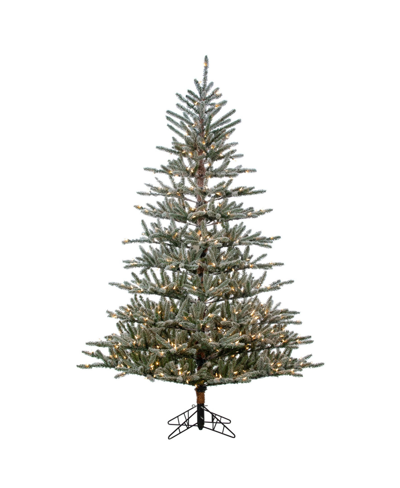 Shop Gerson International 7' Flocked Scotch Pine With 450 Incandescent Lights In Green