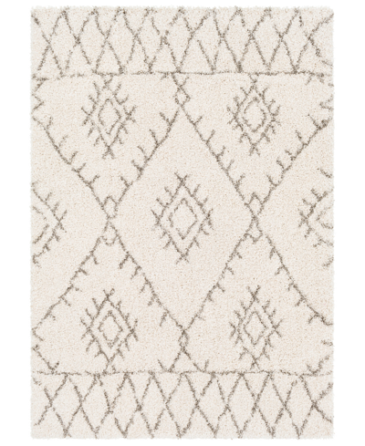 Surya Serengeti Shag Sgt-2301 White 7'10" X 10'3" Area Rug In White