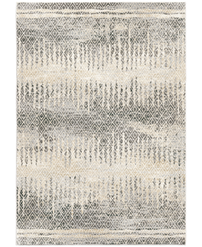 Shop Palmetto Living Orian Riverstone Pinnacle Cloud Gray 7'10" X 10'10" Area Rug In Gry