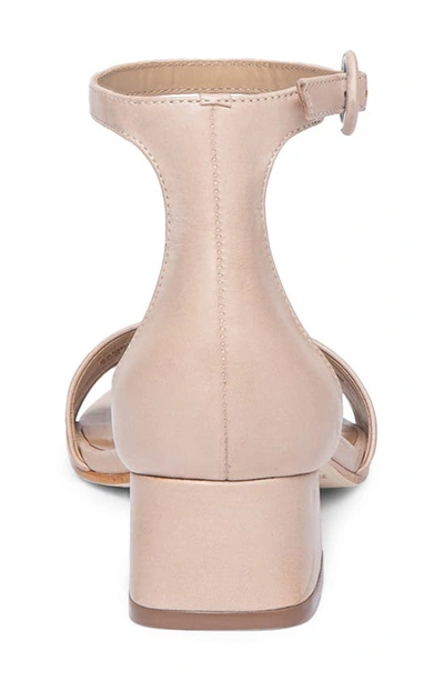 Shop Bernardo Jalena Ankle Strap Sandal In Blush