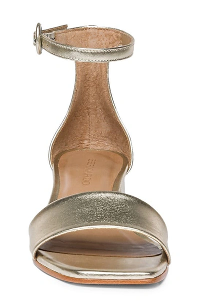 Shop Bernardo Jalena Ankle Strap Sandal In Champagne