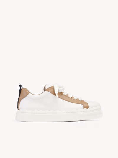 Chloé Lauren Low-top Sneakers In White | ModeSens