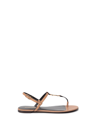 Shop Saint Laurent `cassandra` Flat Sandals In Marrone