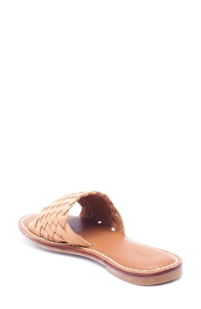 Shop Soludos Rose Woven Slide Sandal In Bisque