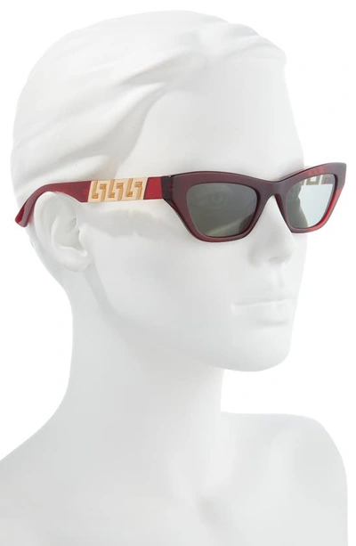 Shop Versace 52mm Cat Eye Sunglasses In Transparent Red