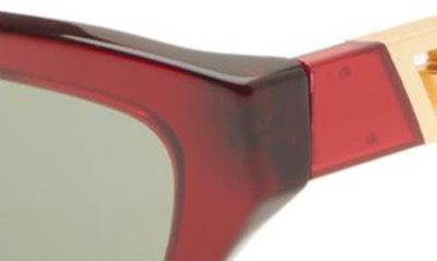 Shop Versace 52mm Cat Eye Sunglasses In Transparent Red
