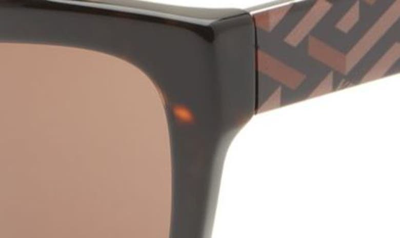 Shop Versace 56mm Cat Eye Sunglasses In Havana/dark Brown
